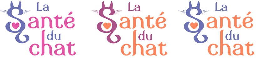 Présentation Nicole Logo-choix-couleurs